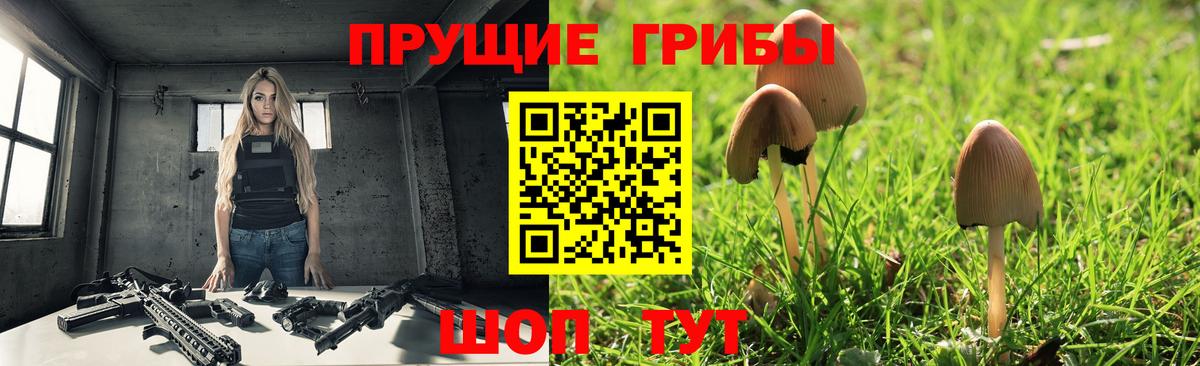 Псилоцибиновые грибы Cubensis  Вход с VPN  Донецк 